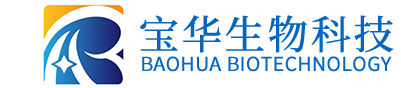 开云手机平台_开云(中国)